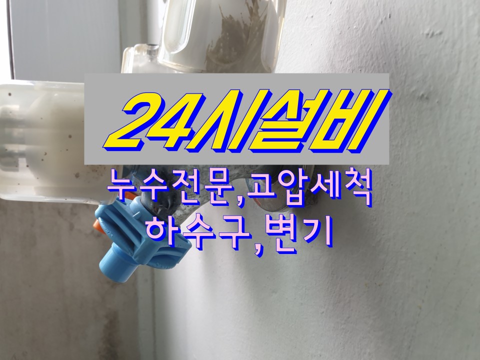 세창세탁 이미지