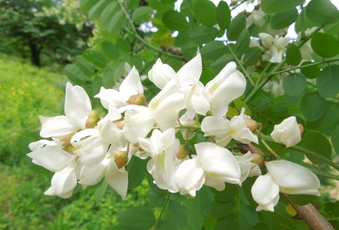 대운운기 이미지