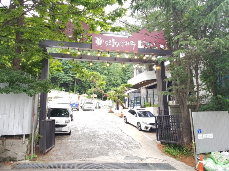 드르쿰다제주 이미지