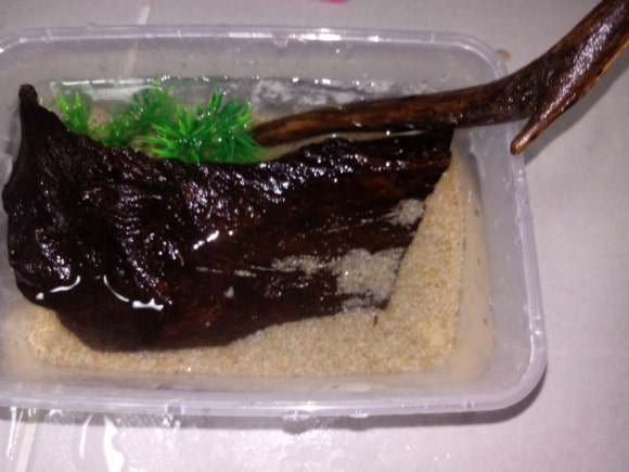 해수크랩 이미지