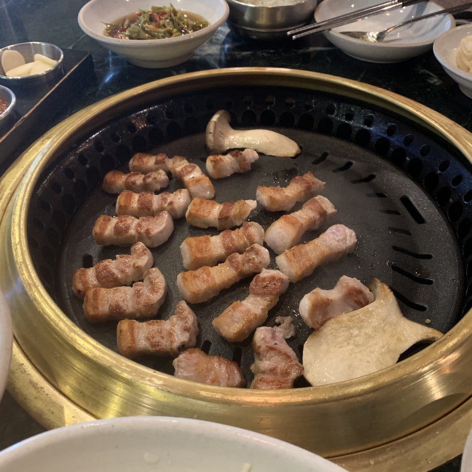 고고기 이미지