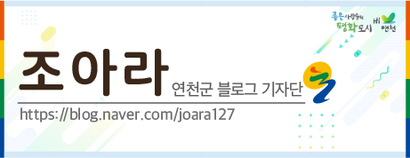 콩줌 이미지