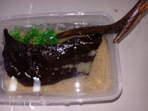 해수크랩 이미지