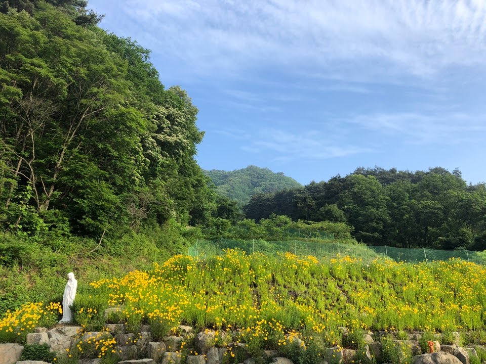 헬씨라이프 이미지
