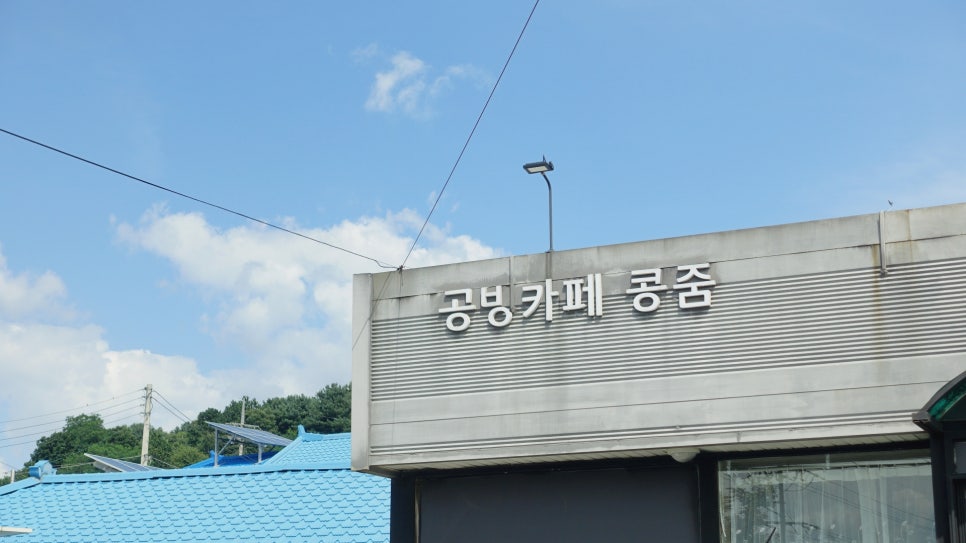 콩줌 이미지