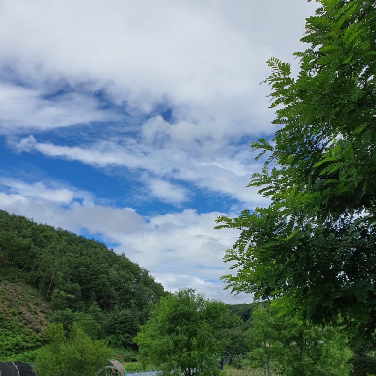 커피마마홍천대명점 이미지