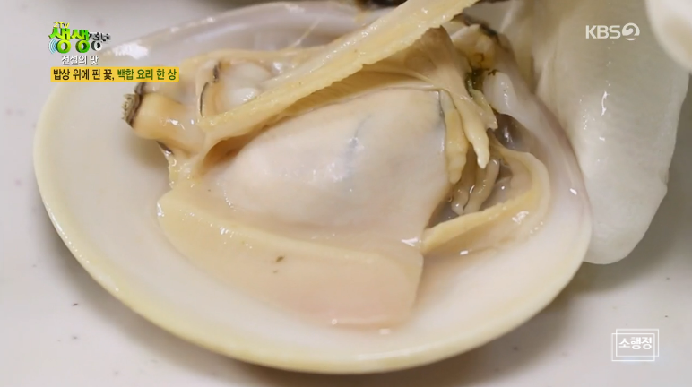 백합 이미지