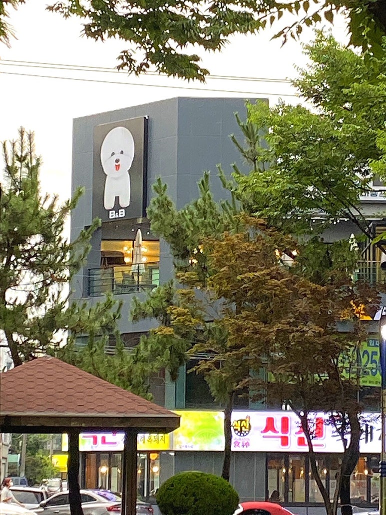 비바비차 이미지