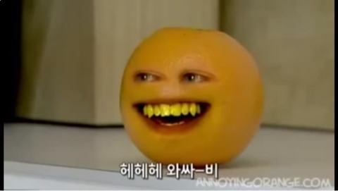 최스시 이미지