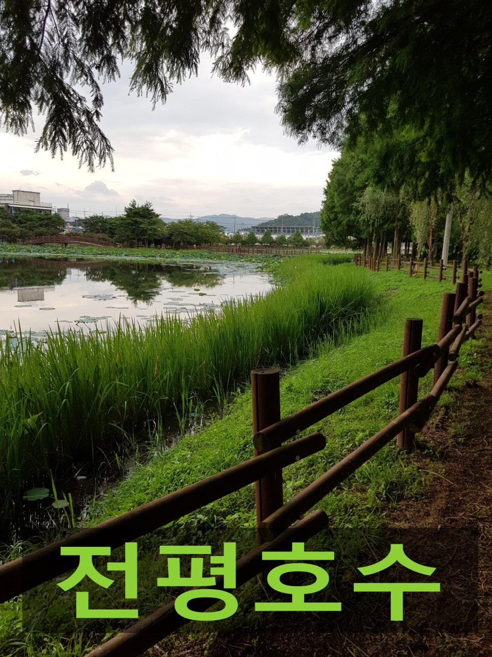매월민물매운탕 이미지
