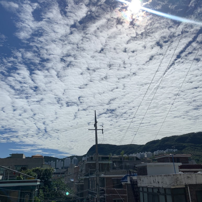 더메이커주 이미지