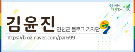 피자스쿨 연천전곡점 이미지