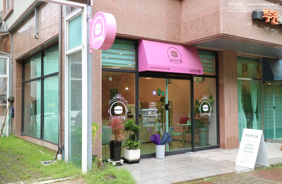 모모앤카롱 이미지