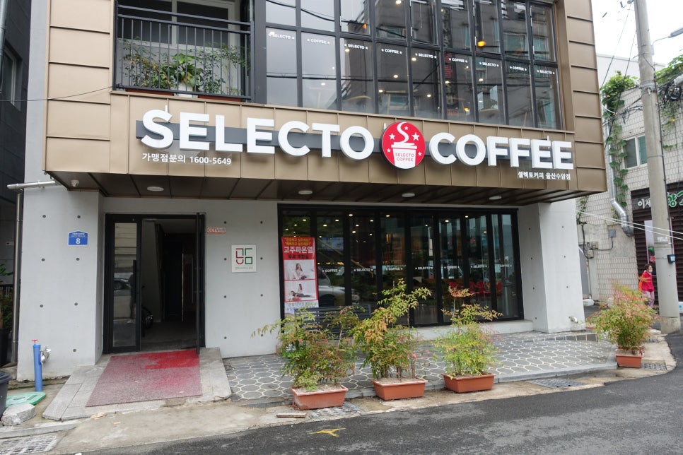 셀렉토커피수암점 이미지