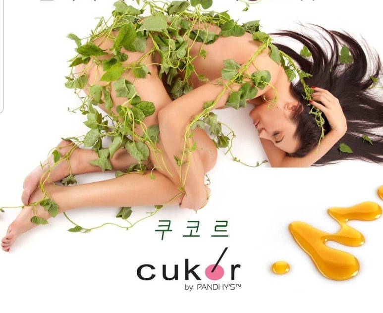 판디스 이미지