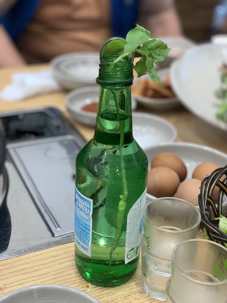 곰챙이 이미지