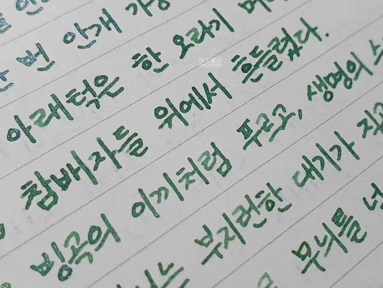 대양프린팅 이미지