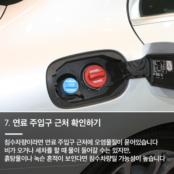 오일리브 이미지