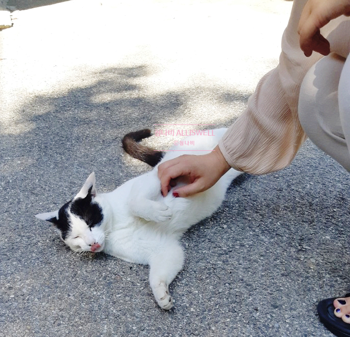 아름골 이미지
