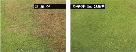 영안엔지니어링주 이미지