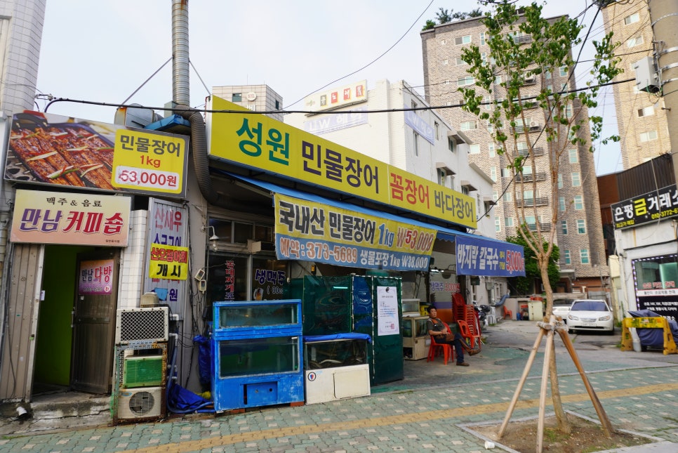 신양장어 이미지