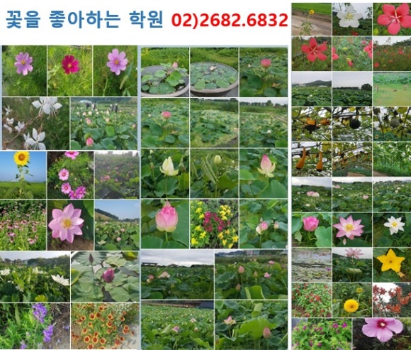 광명대한간호학원 이미지