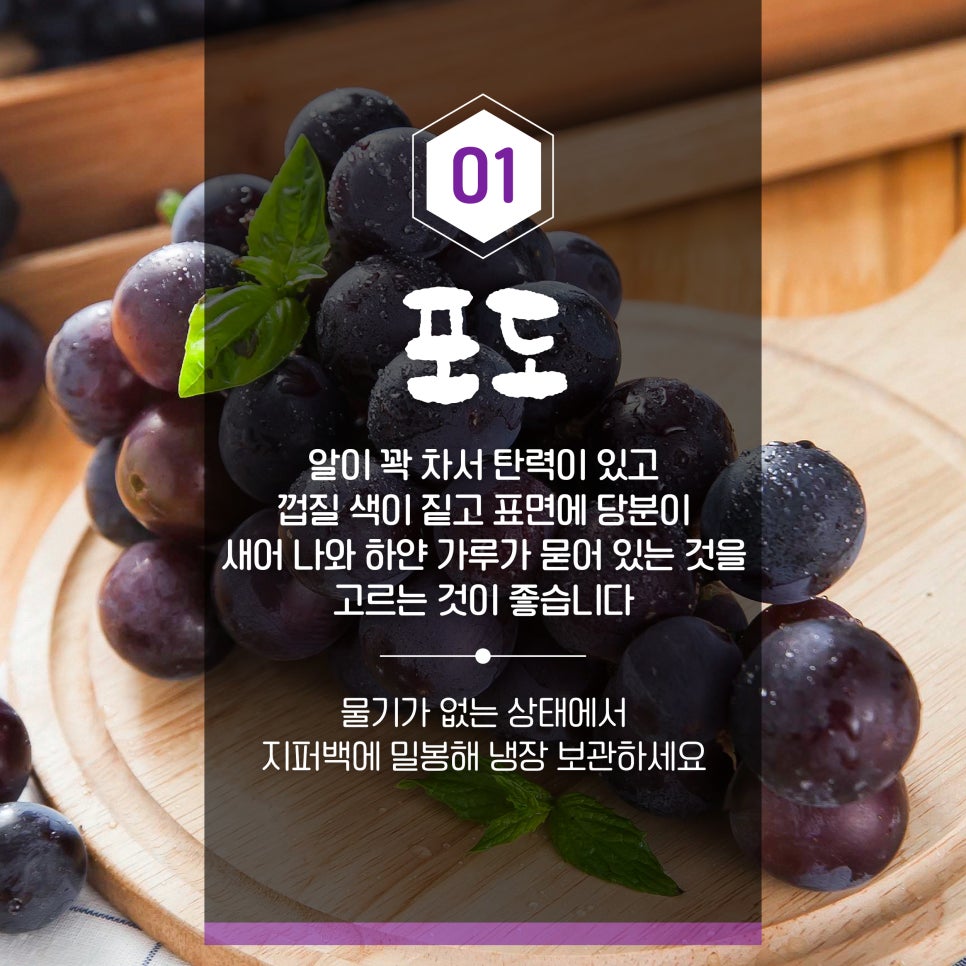 과일을부탁해 이미지