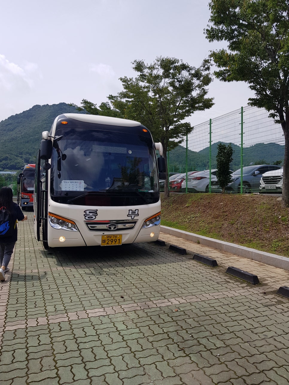 대우여행사 이미지