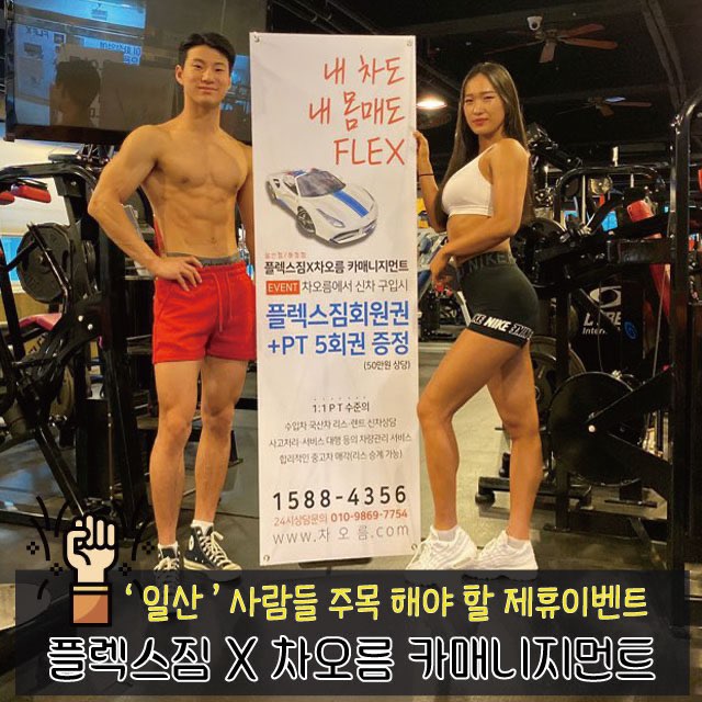 플렉스카 이미지