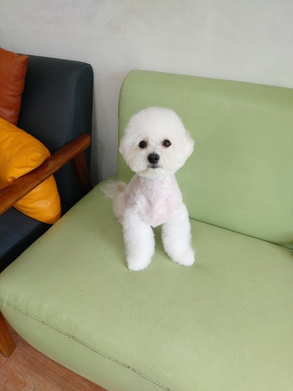 미모아미용실 이미지