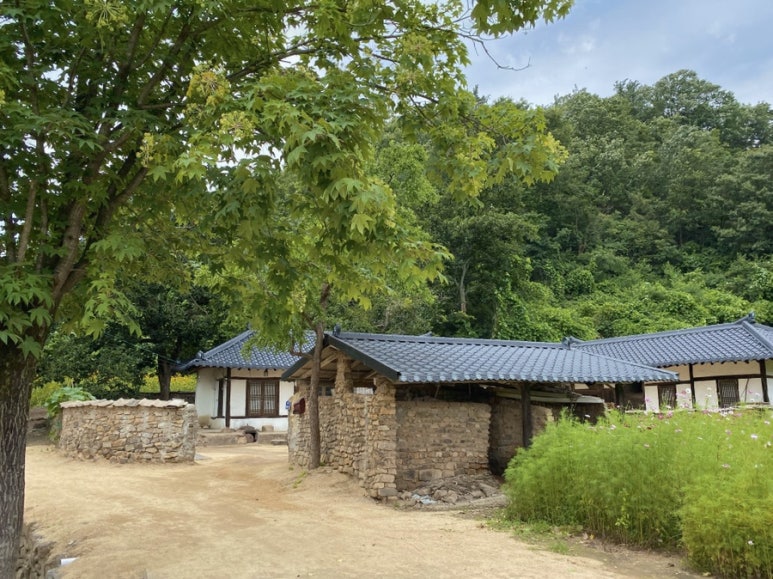 리틀스톤 이미지
