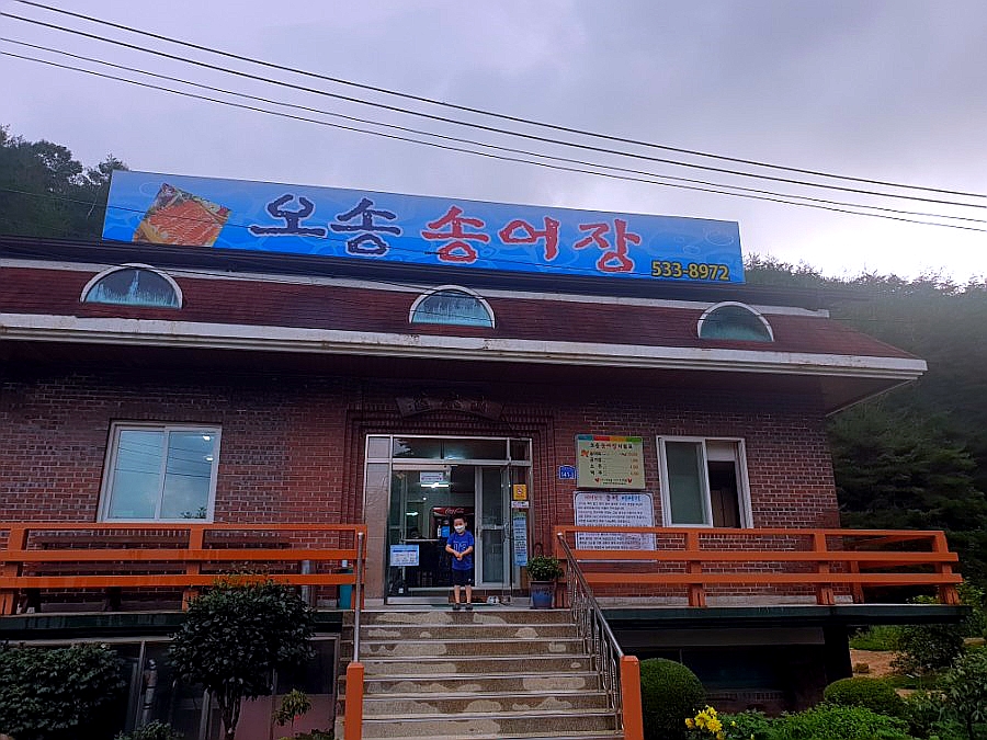 오송송어장 이미지