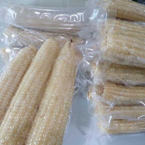 토생이 이미지