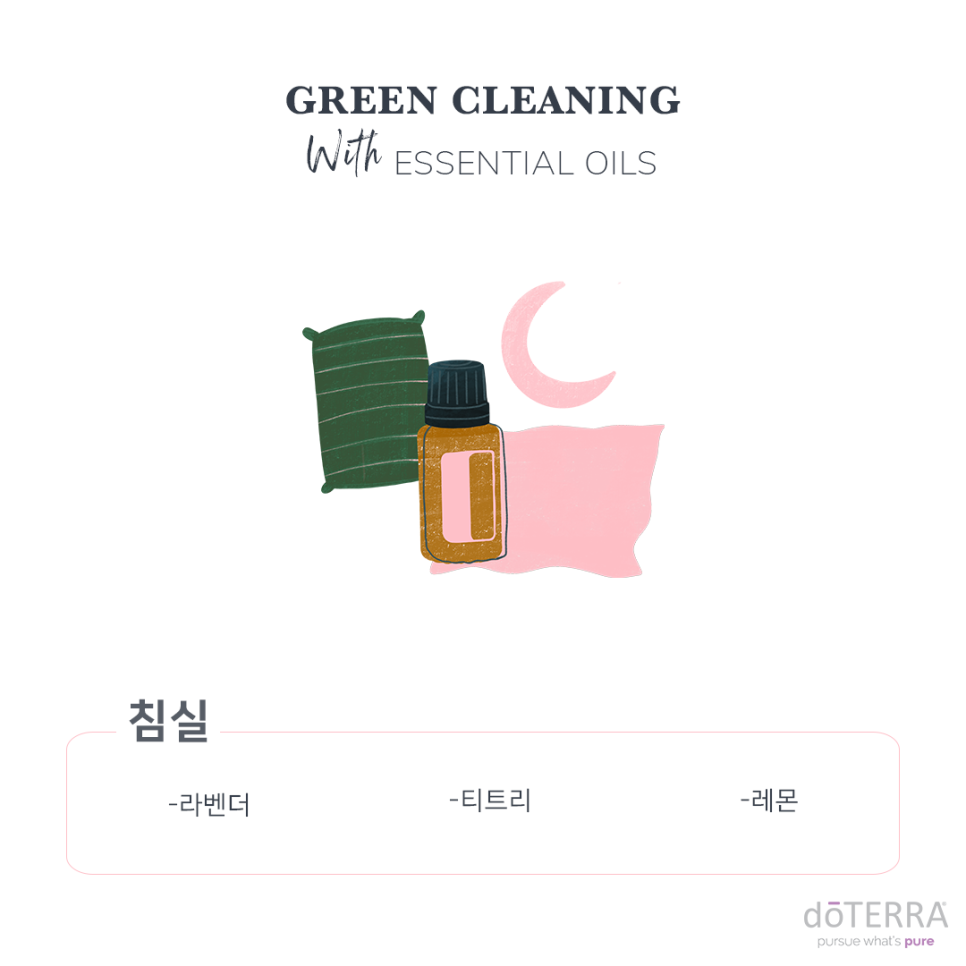 그린크리닝 이미지