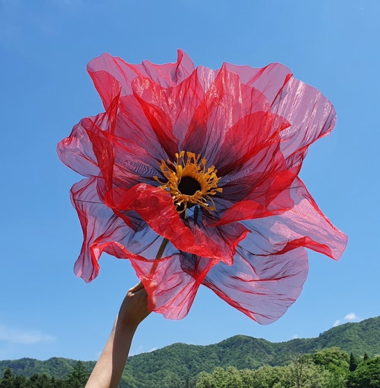 양귀비플라워 이미지