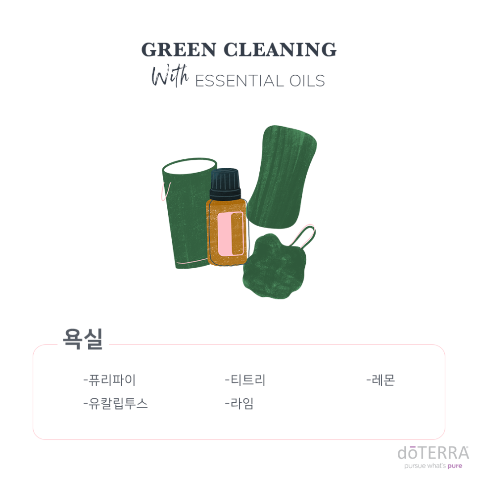 그린크리닝 이미지