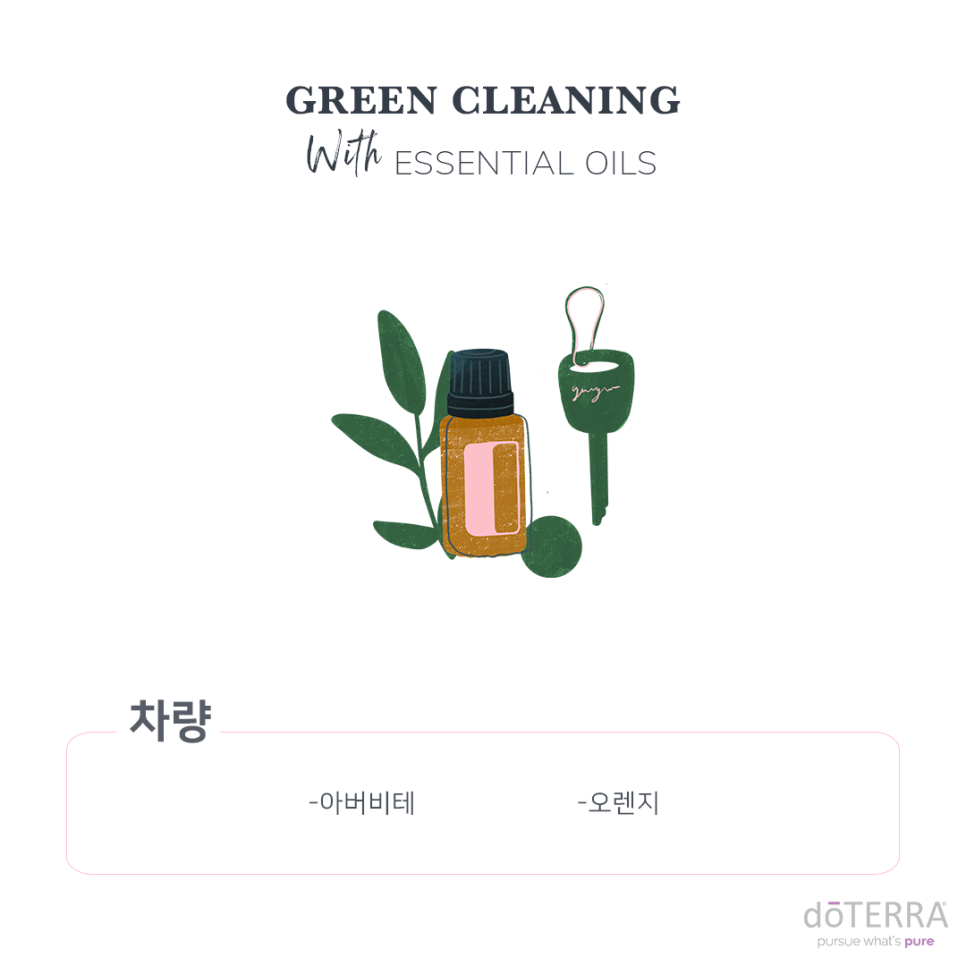 그린크리닝 이미지