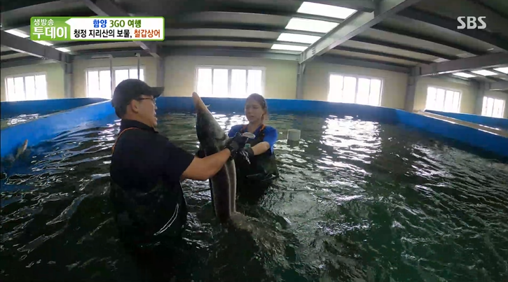 함양군 철갑상어 영어조합 이미지
