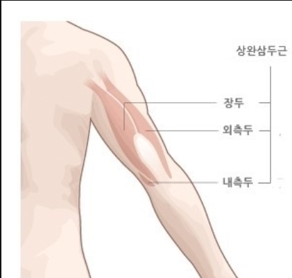 이케이GYM 이미지
