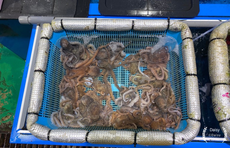 쌍용수산시장 이미지