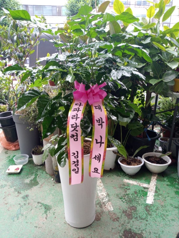 다파라닷컴 이미지