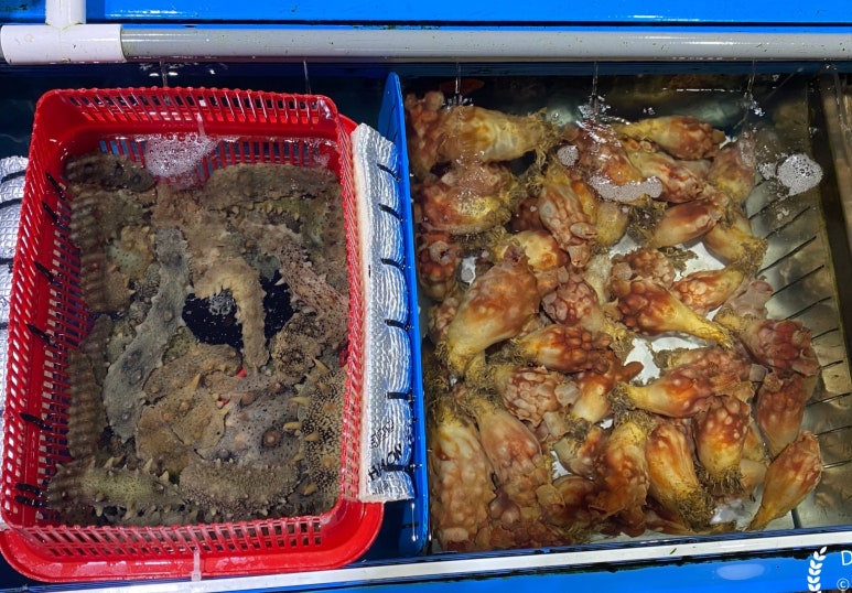 쌍용수산시장 이미지