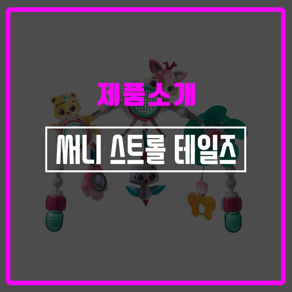 디자인스트롤 이미지