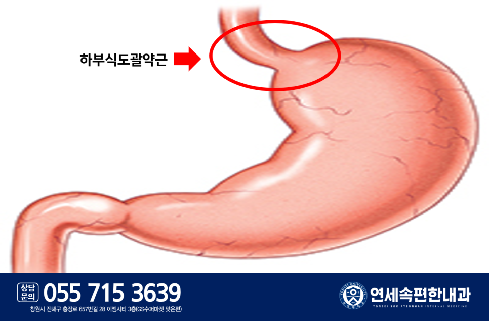 가장편한내과의원 이미지