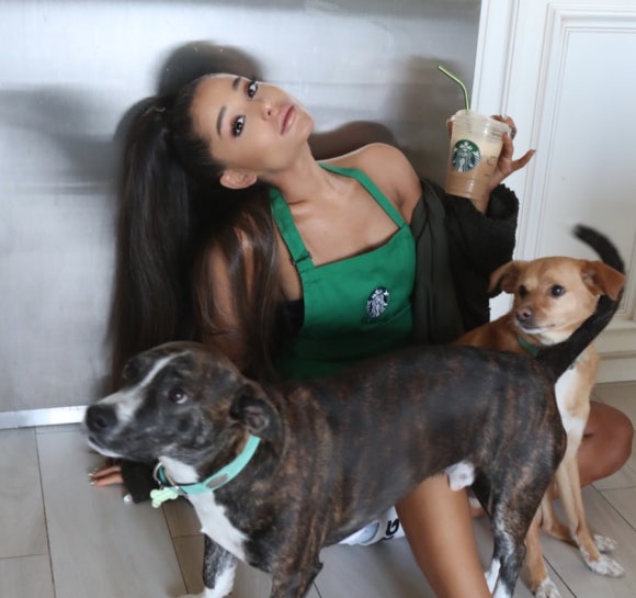 아리아나(ARIANA) 이미지