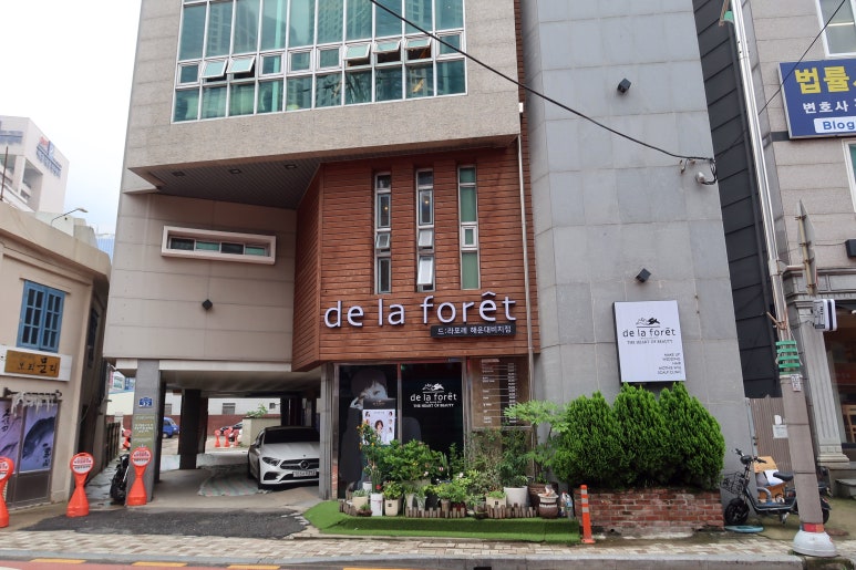 드라포레비치점 이미지