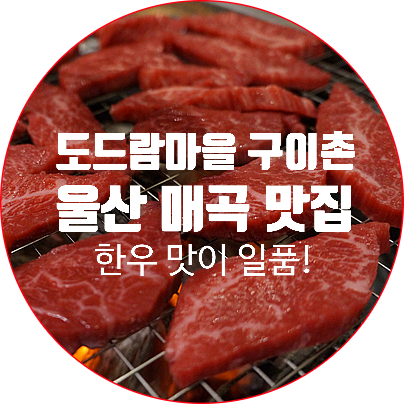 구이촌 이미지