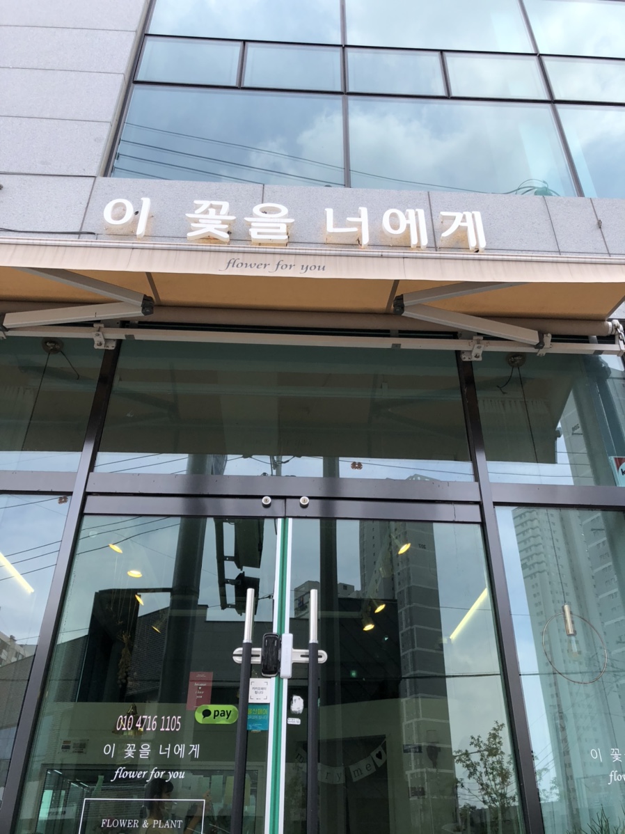 이꽃을너에게 이미지