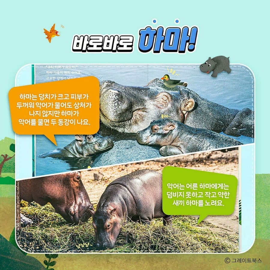 악어북스 이미지
