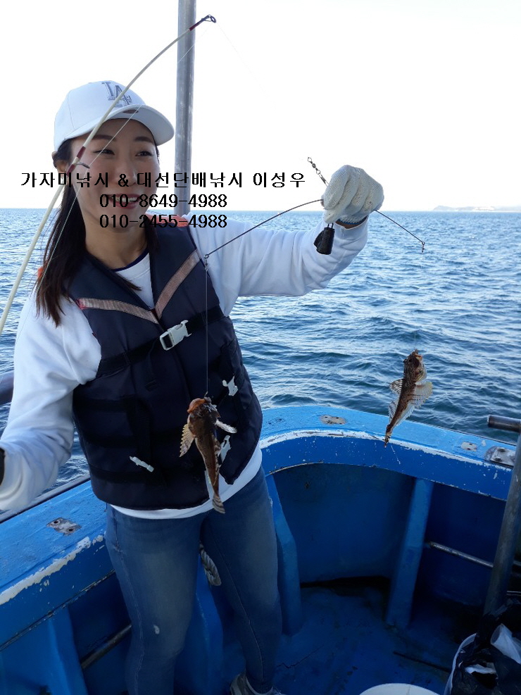 도화낚시 이미지